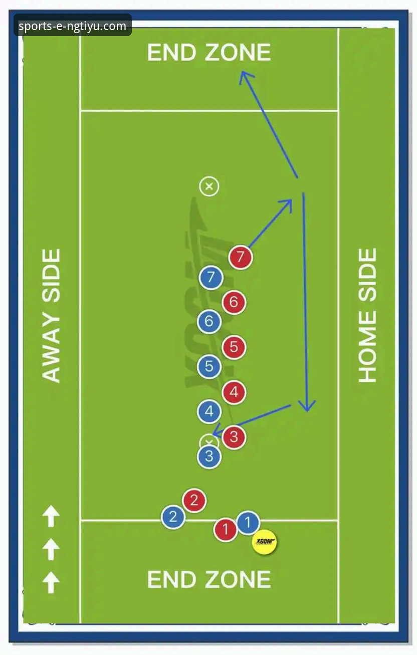在NG体育娱乐平台掌握阿根廷大胜战术解析与高清观赛操作教程